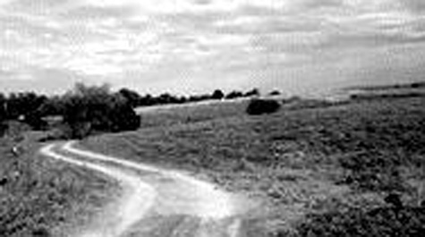Long and winding road